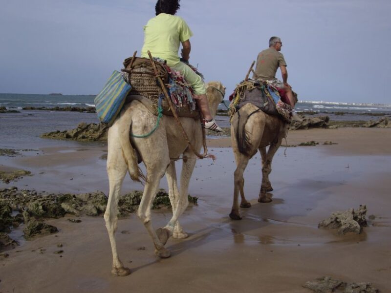 From Essaouira: Camel Tour With Overnight Stay in a Tent - Good To Know