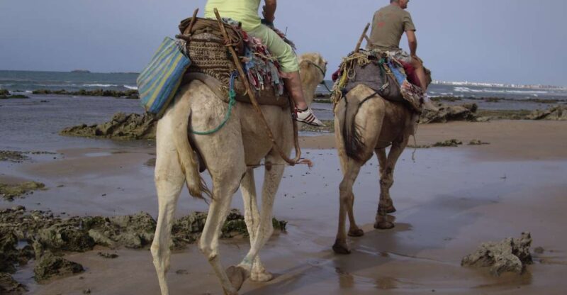 From Essaouira: Camel Tour With Overnight Stay in a Tent - Exploring the Diabat Countryside