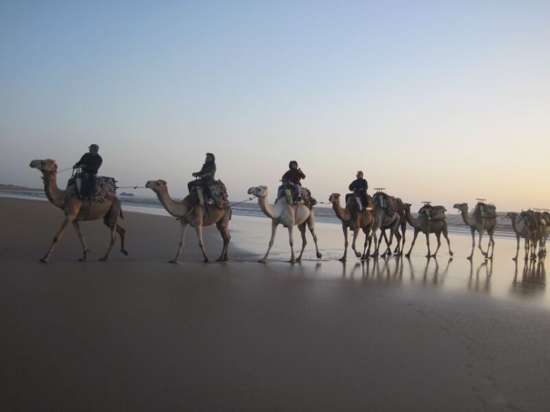 From Essaouira: Camel Tour With Overnight Stay in a Tent - Campfire Activities and Stargazing