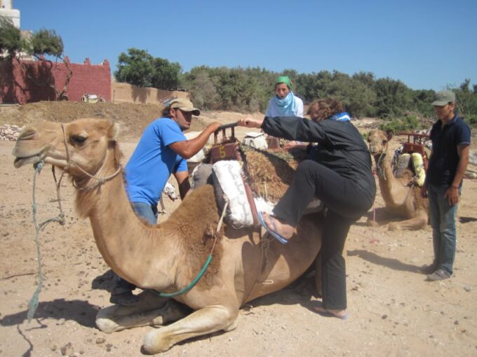 From Essaouira: Camel Tour With Overnight Stay in a Tent - Booking and Pricing Details