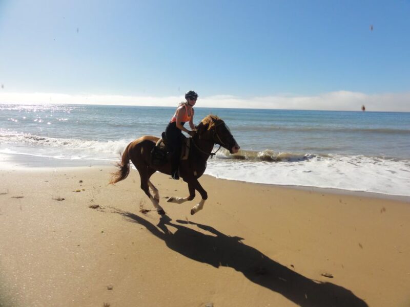 From Essaouira: Horseback Tour With Overnight Berber Camp - Good To Know