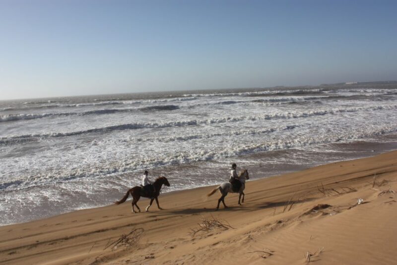 From Essaouira: Horseback Tour With Overnight Berber Camp - Riding Levels and Itinerary