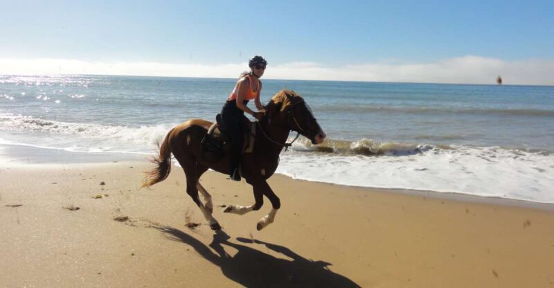 From Essaouira: Horseback Tour With Overnight Berber Camp - Transportation and Dining