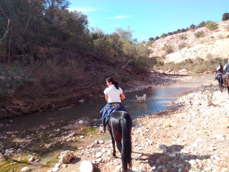 From Essaouira: Horseback Tour With Overnight Berber Camp - Inclusions and Exclusions