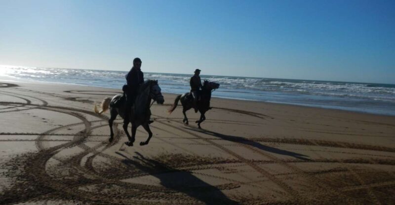From Essaouira: Scenic Diabat Horseback Ride With Transfer - Good To Know
