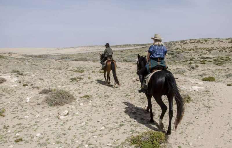 From Essaouira: Scenic Diabat Horseback Ride With Transfer - Customer Feedback