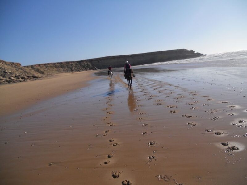 From Essaouira: Scenic Diabat Horseback Ride With Transfer - Important Details
