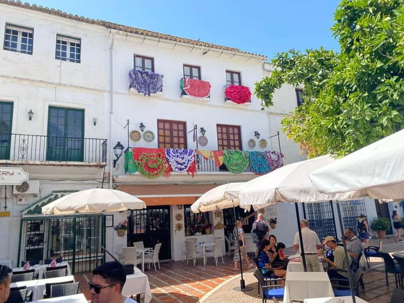 From Estepona, Mijas, Marbella: Marbella Tour Private Transport Tapas Drinks - An In-Depth Look at the Marbella Private Tour
