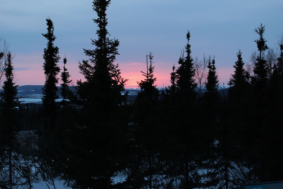 From Fairbanks: Arctic Circle Full-Day Guided Trip - Booking Tips