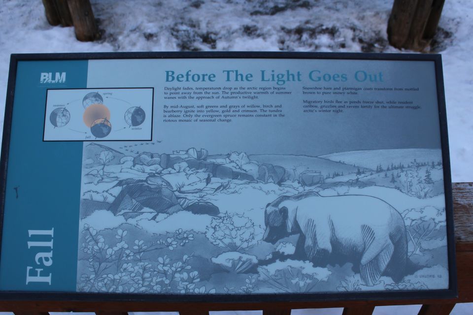 From Fairbanks: Arctic Circle Full-Day Guided Trip - Essential Packing List