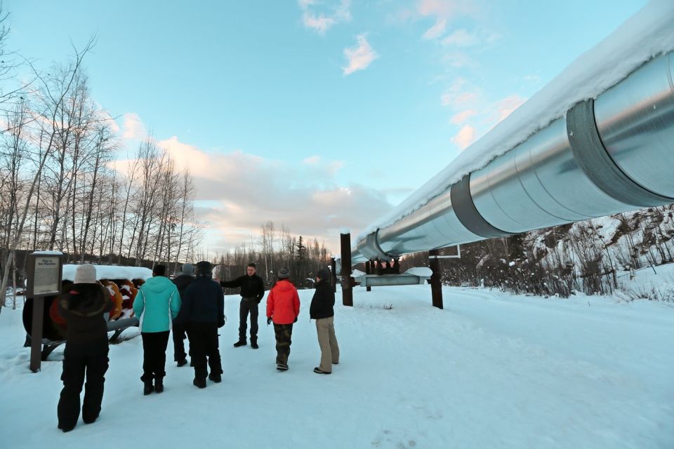 From Fairbanks: Arctic Circle Northern Lights Full-Day Trip - Wildlife Viewing