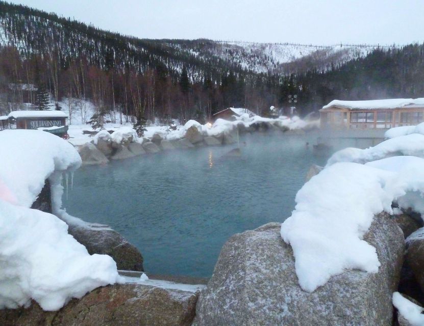 From Fairbanks: Chena Hot Springs Northern Lights Tour - Inclusions