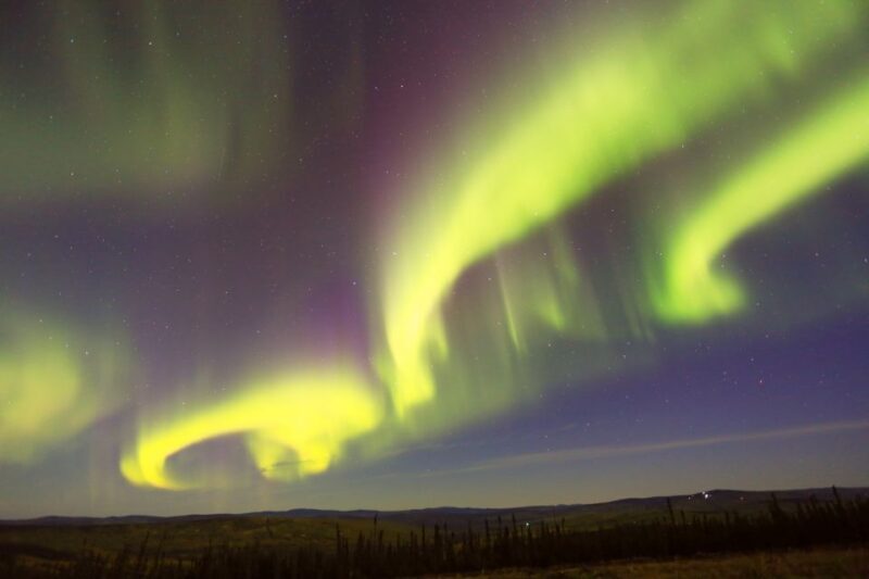From Fairbanks: Chena Hot Springs Northern Lights Tour - Who Will Love This Tour?