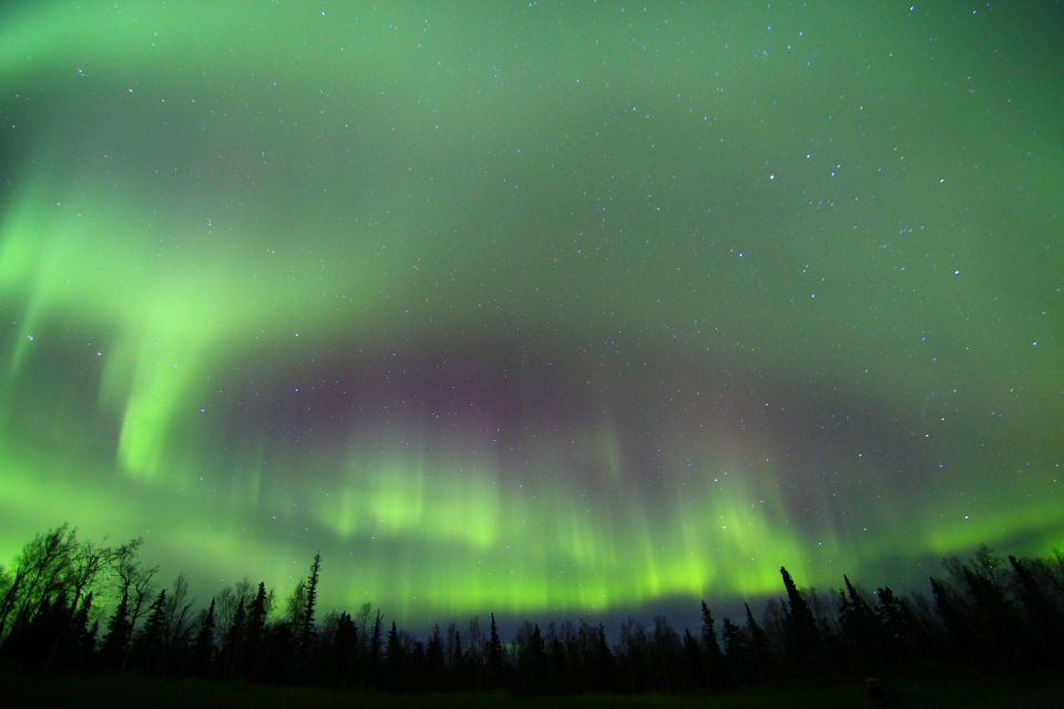 From Fairbanks: Northern Lights & Murphy Dome Tour - Northern Lights Viewing