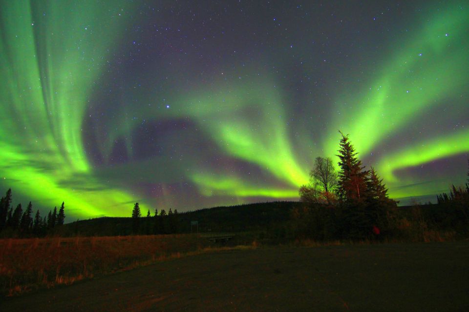From Fairbanks: Northern Lights & Murphy Dome Tour - Recap