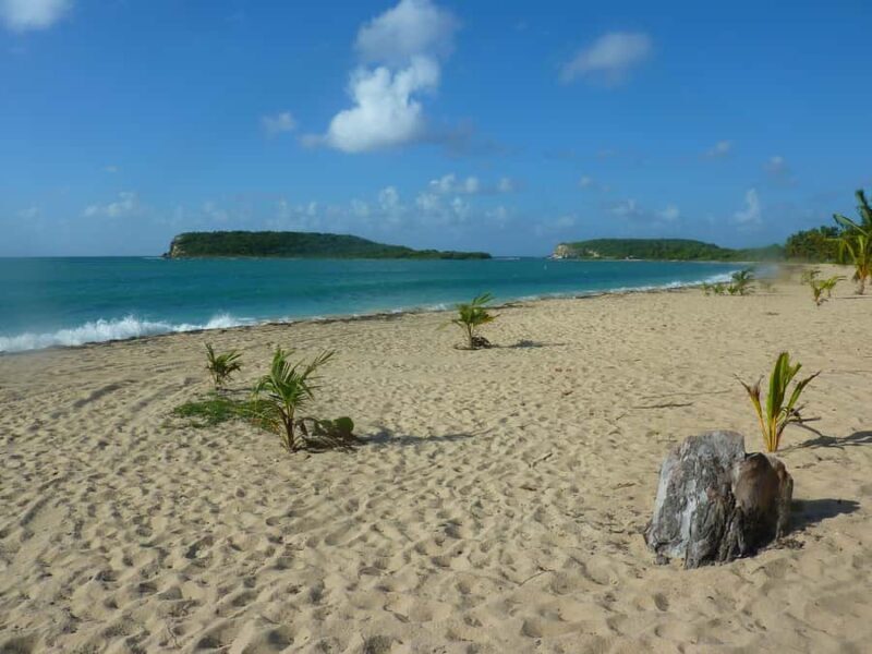 From Fajardo: All-Inclusive Boat & Snorkeling in Culebra Island - FAQ