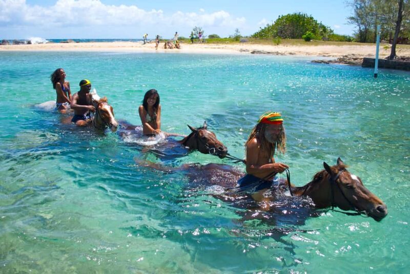 From Falmouth: Horseback Ride n Swim with Green Grotto Caves - What Travelers Say