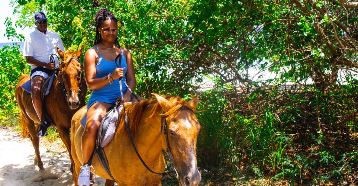 From Falmouth: Horseback Ride N Swim With Green Grotto Caves - Key Points