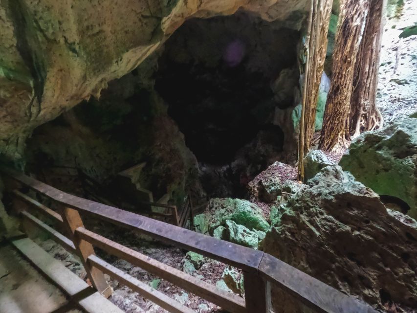From Falmouth: Horseback Ride N Swim With Green Grotto Caves - Scenic Drive to Limestone Forest