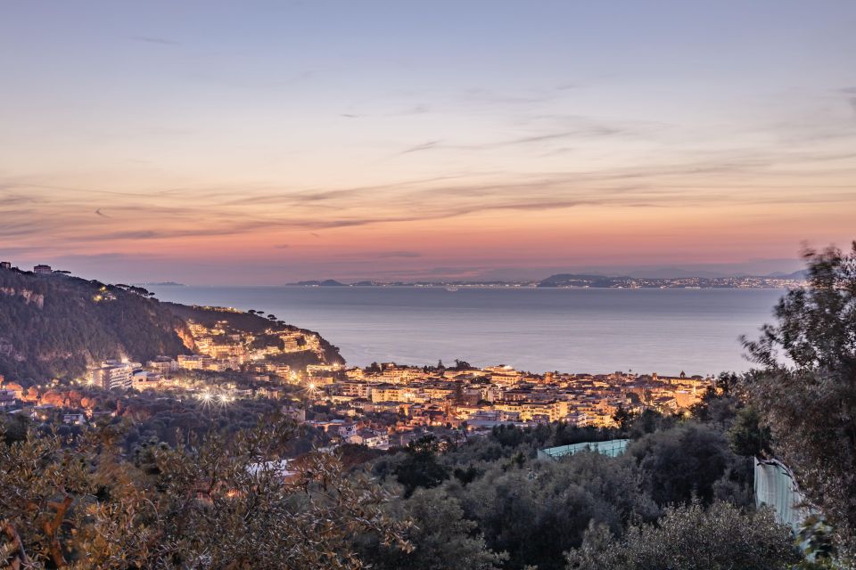 From Farm to Table in a Cooking Class in Sorrento - Booking and Pricing