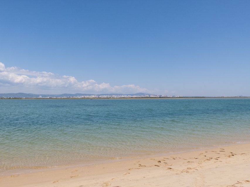 From Faro: 2-Hour Guided Bird Watching Boat Trip - Booking Information