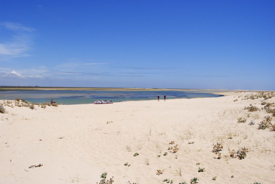 From Faro: 2-Hour Guided Bird Watching Boat Trip - Customer Reviews