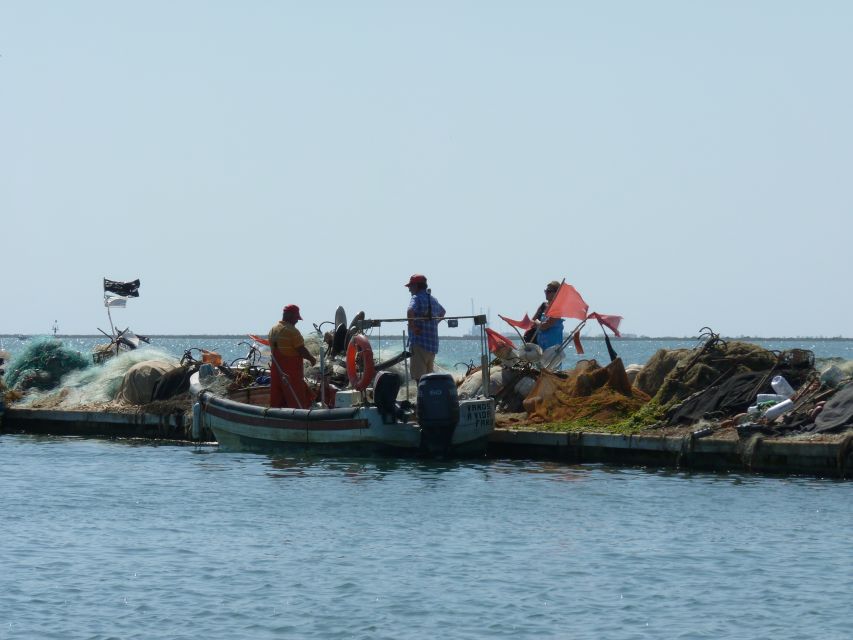 From Faro: 4 Stops, 3 Islands in Ria Formosa Catamaran Tour - Starting Location