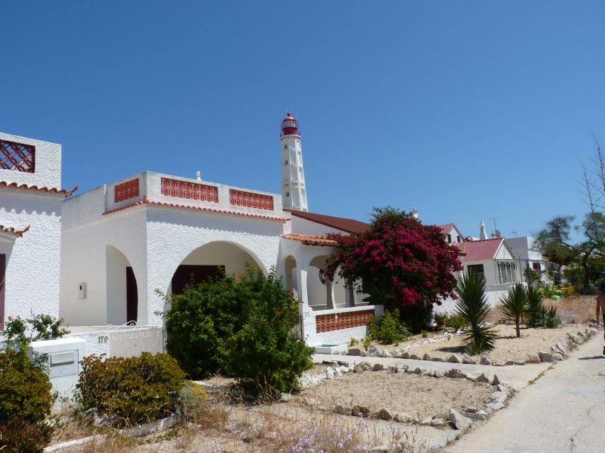 From Faro: 4 Stops, 3 Islands in Ria Formosa Catamaran Tour - Highlights and Inclusions