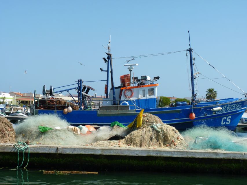 From Faro: 4 Stops, 3 Islands in Ria Formosa Catamaran Tour - Itinerary and Activities