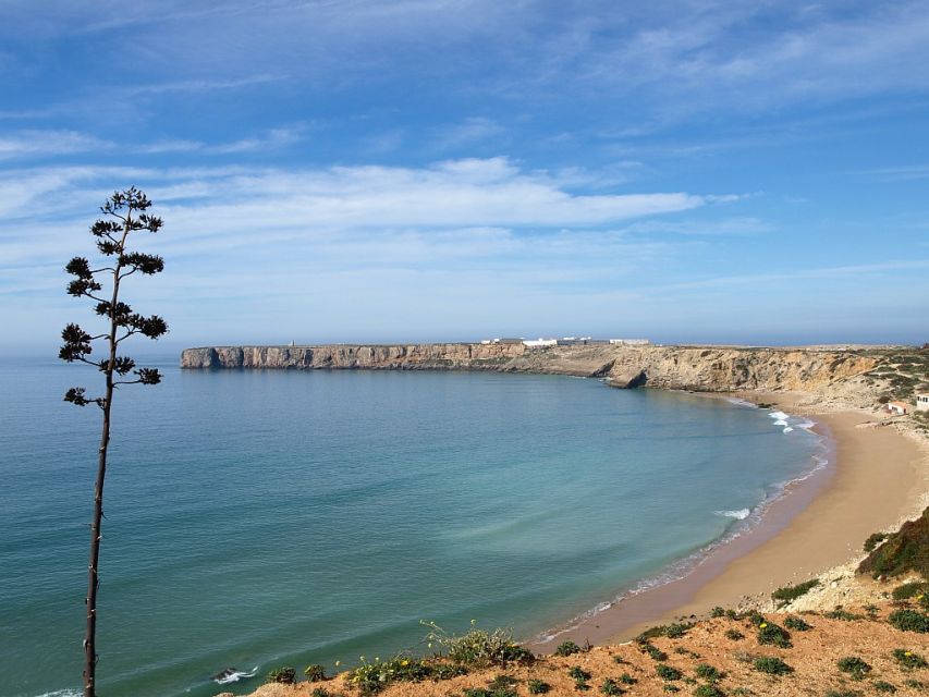From Faro: 8-Day Tour of Portugal - Historic Sites of the North