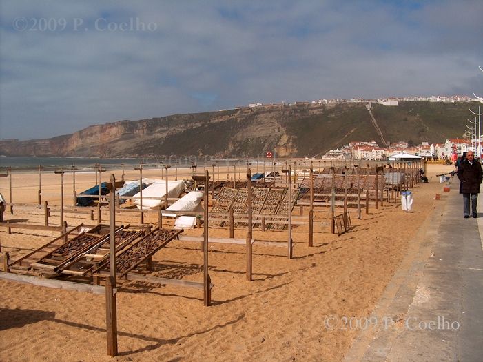 From Faro: 8-Day Tour of Portugal - Wonders of the Douro Valley