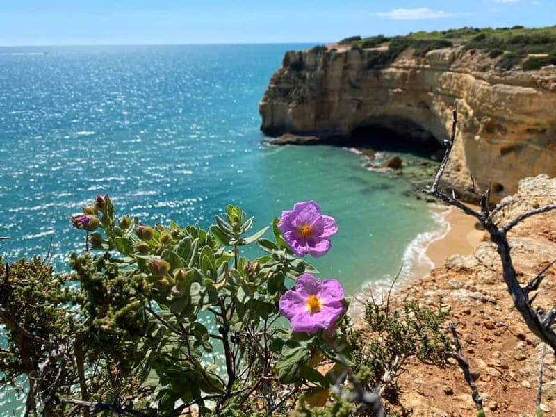 From Faro: Benagil Cave and Seven Hanging Valleys Trail Tour - Final Thoughts: Who Will Love This Experience?