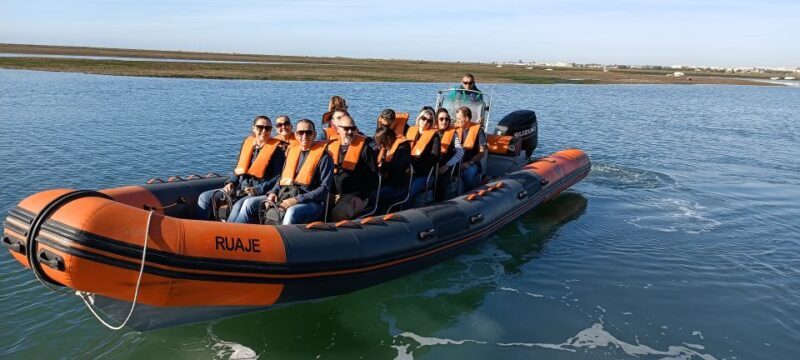 From Faro: Dolphin-Watching & Wildlife - Frequently Asked Questions