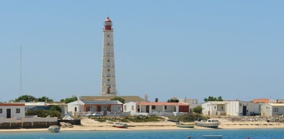 From Faro: Private Tour in Ria Formosa - Exploring Farol Island
