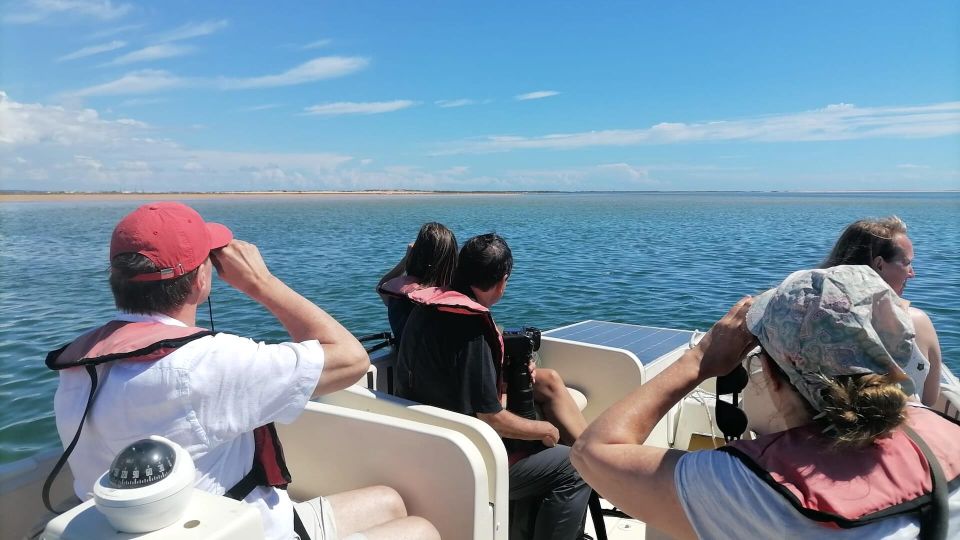 From Faro: Ria Formosa Eco-friendly Solar Boat Tour - Pricing and Availability