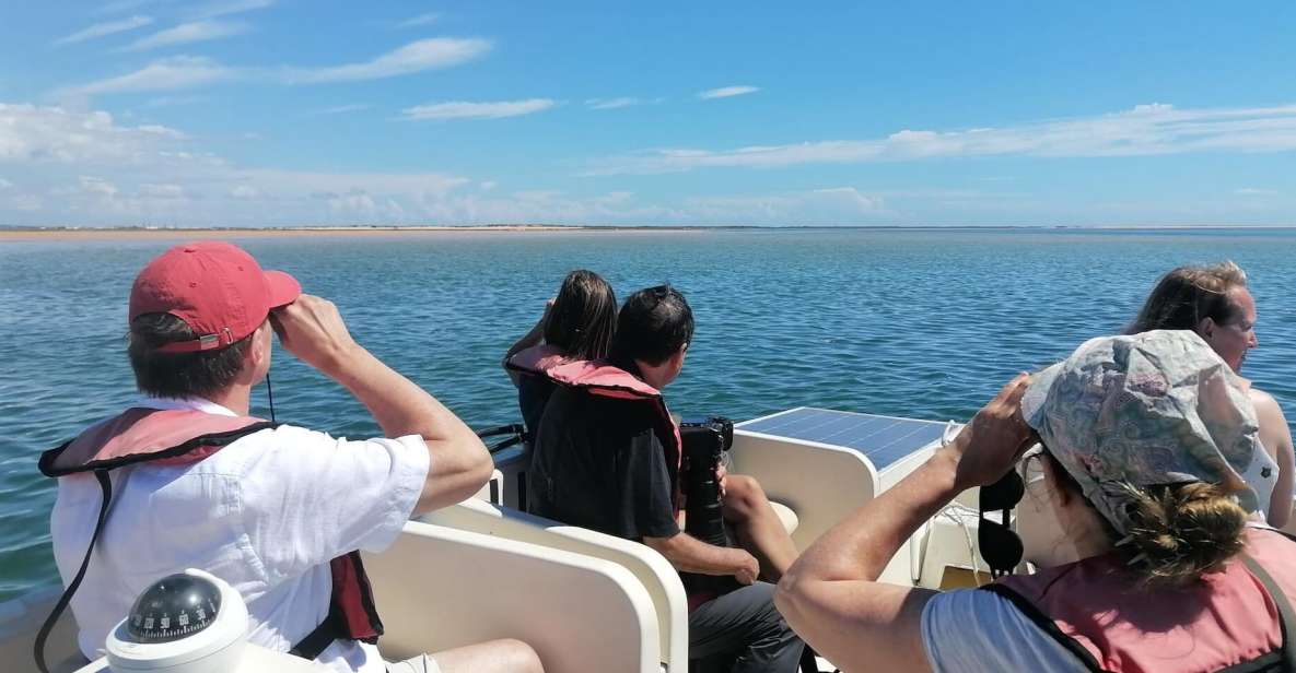 From Faro: Ria Formosa Eco-friendly Solar Boat Tour - Tour Highlights