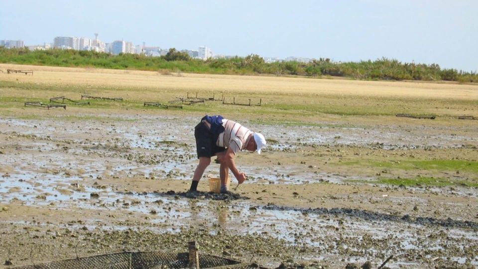 From Faro: Ria Formosa Eco-friendly Solar Boat Tour - Departure and Duration