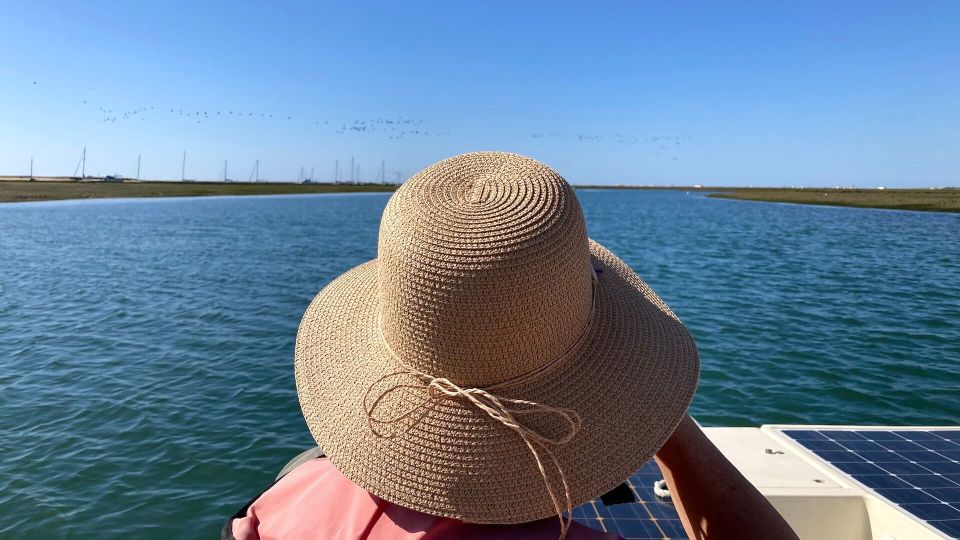 From Faro: Ria Formosa Eco-friendly Solar Boat Tour - Transportation and Inclusions