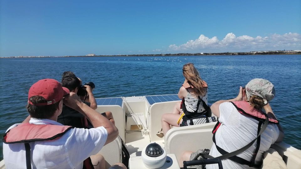 From Faro: Ria Formosa Eco-friendly Solar Boat Tour - What to Bring