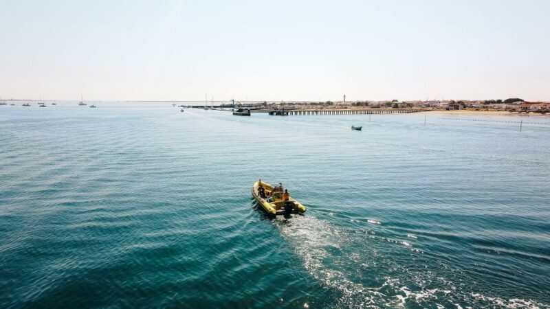 From Faro: Ria Formosa Hop-On Hop-Off 3 Islands Cruise - Key Points  