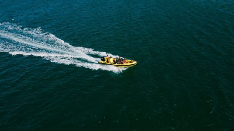 From Faro: Ria Formosa Hop-On Hop-Off 3 Islands Cruise - Why This Tour Works for Travelers  