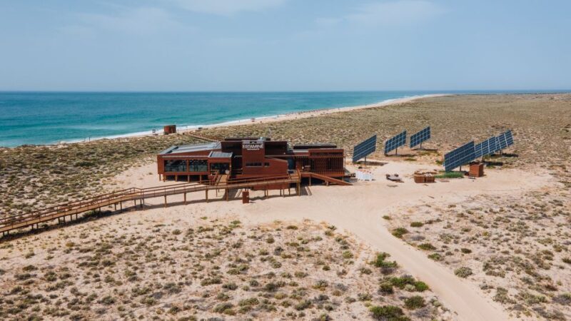 From Faro: Ria Formosa Hop-On Hop-Off 3 Islands Cruise - Practical Tips for Making the Most of Your Day  