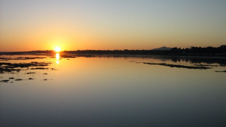 From Faro: Ria Formosa Sunset Boat Trip - Booking Information