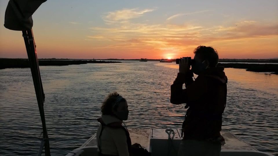 From Faro: Ria Formosa Sunset Boat Trip - Important Information