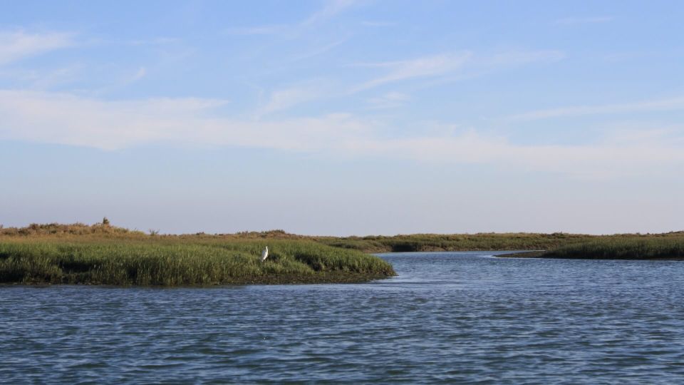 From Faro: Ria Formosa Sunset Boat Trip - Frequently Asked Questions