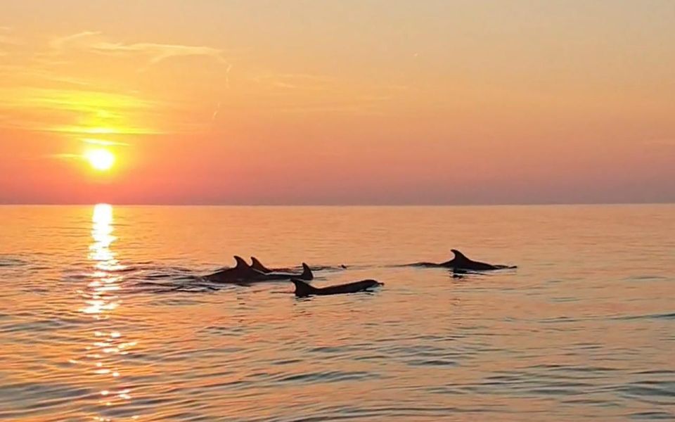 From Fazana: Private Dolphin Search & Sunset Cruise - Key Points