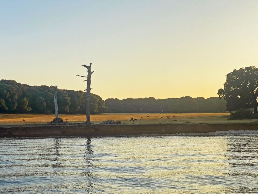From Fazana: Private Dolphin Search & Sunset Cruise - Pricing