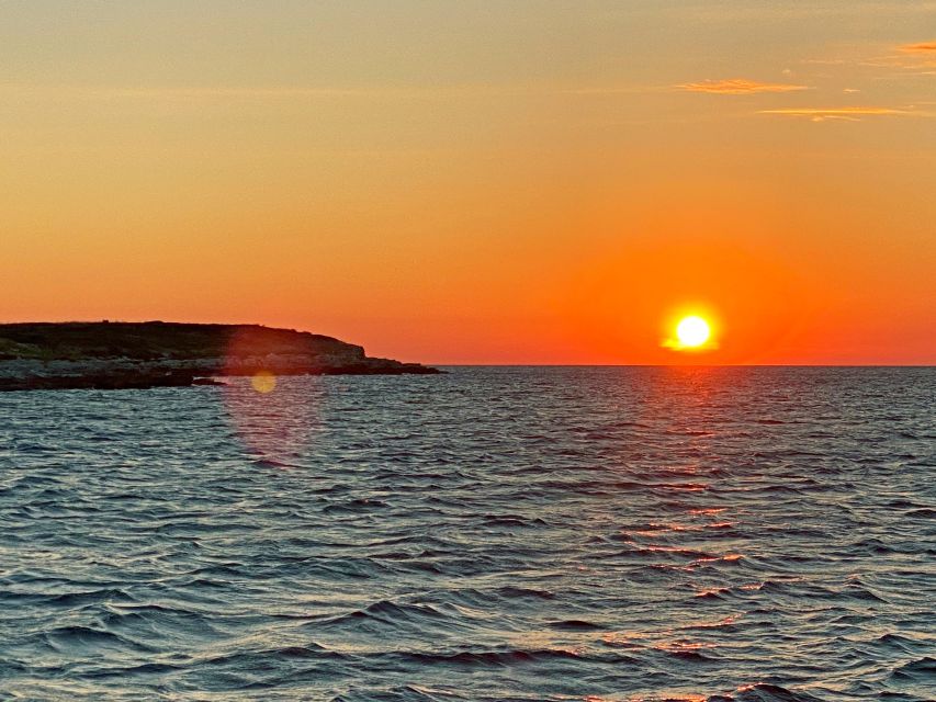 From Fazana: Private Dolphin Search & Sunset Cruise - Dolphin Search Experience
