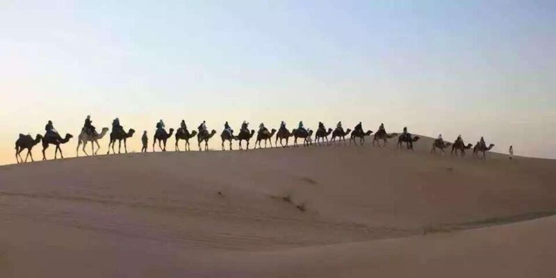 From Fes: 2-Day Desert Tour With Camel Ride and Camp Stay - Exploring Ifrane and the Cedar Forest