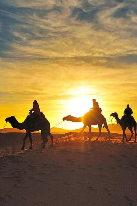 From Fes: 2-Day Desert Tour With Camel Ride and Overnight … - Customer Feedback and Reviews